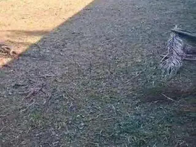 Terreno / Lote para Venda em Jaraguá do Sul/SC Santa Luzia