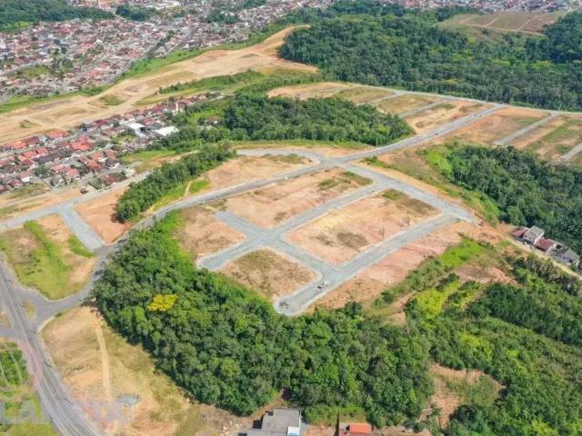 Terreno / Lote para Venda em Jaraguá do Sul/SC Tifa Martins