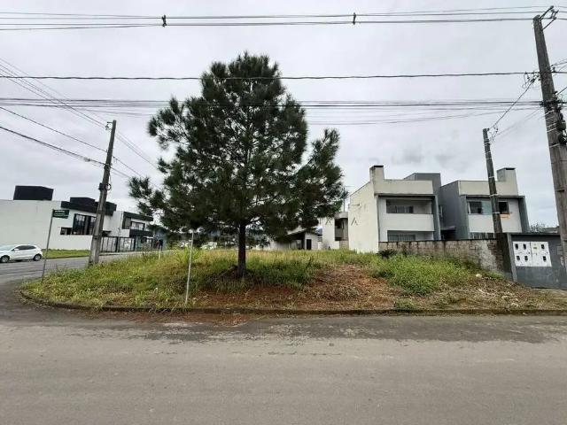 Terreno / Lote para Venda em Jaraguá do Sul/SC Três Rios do Norte