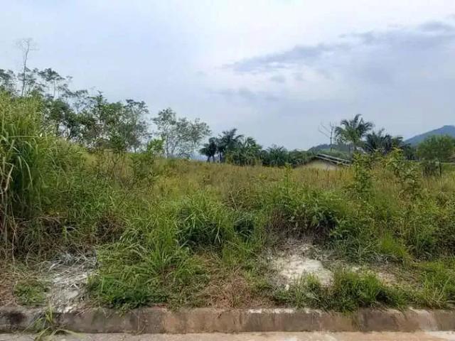 Terreno / Lote para Venda em Jaraguá do Sul/SC Três Rios do Norte