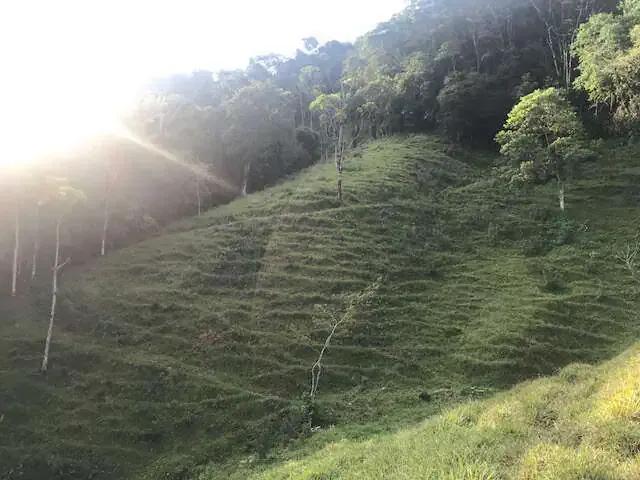 Terreno / Lote para Venda em Jaraguá do Sul/SC Três Rios do Norte 2 Quartos