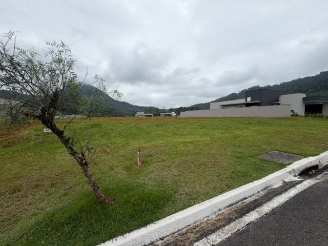 Terreno / Lote para Venda em Jaraguá do Sul/SC Vila Chartres