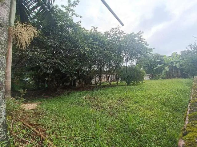 Terreno / Lote para Venda em Jaraguá do Sul/SC Vila Lenzi