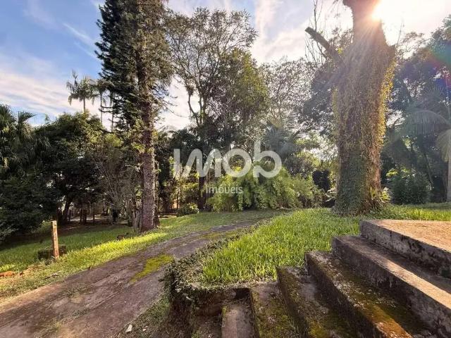Terreno / Lote para Venda em Jaraguá do Sul/SC Vila Nova