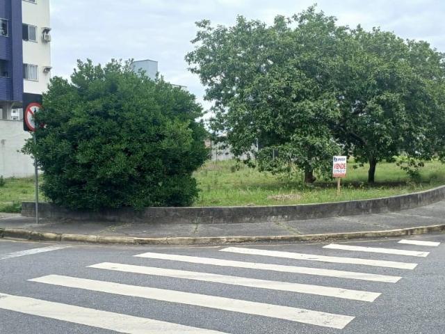 Terreno / Lote para Venda em Jaraguá do Sul/SC Vila Nova
