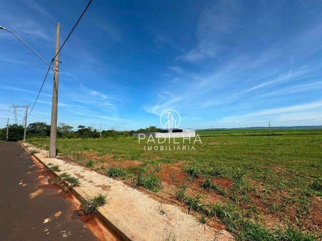 Terreno / Lote para Venda em Jardinópolis/SP Área Industrial
