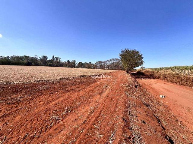 Terreno / Lote para Venda em Jardinópolis/SP Centro