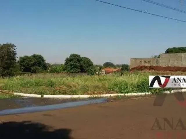 Terreno / Lote para Venda em Jardinópolis/SP Jardim Niágara