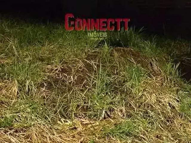 Terreno / Lote para Venda em Jardinópolis/SP Jardim São Francisco