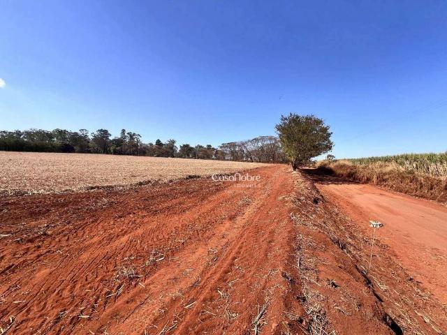 Terreno / Lote para Venda em Jardinópolis/SP Jardinópolis