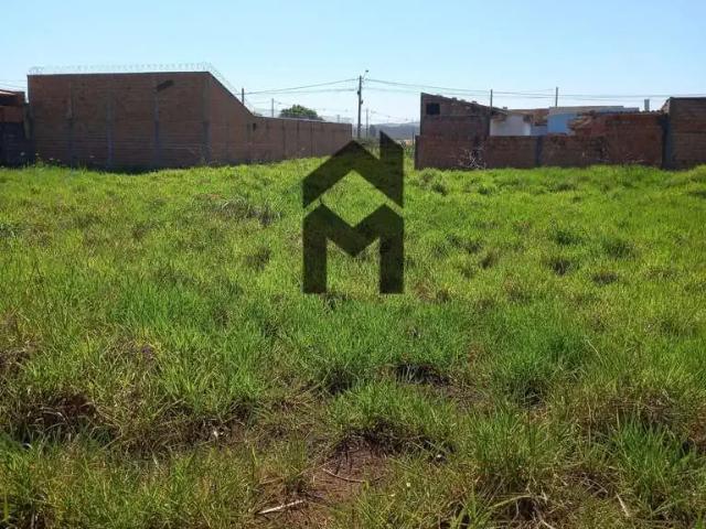Terreno / Lote para Venda em Jardinópolis/SP Maria Regina