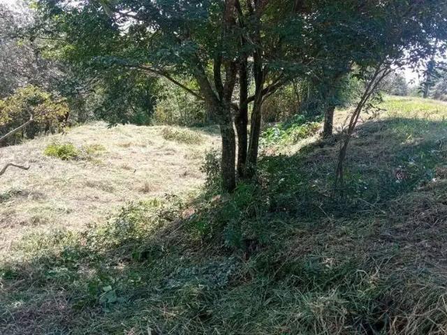 Terreno / Lote para Venda em Jarinu/SP Vale Esmeralda