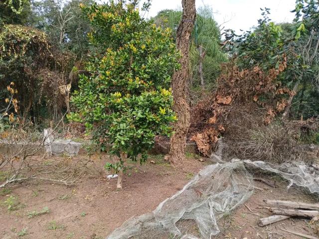 Terreno / Lote para Venda em Jarinu/SP Dos Pereiras