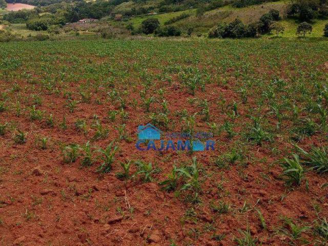 Terreno / Lote para Venda em Jarinu/SP Estancia São Paulo