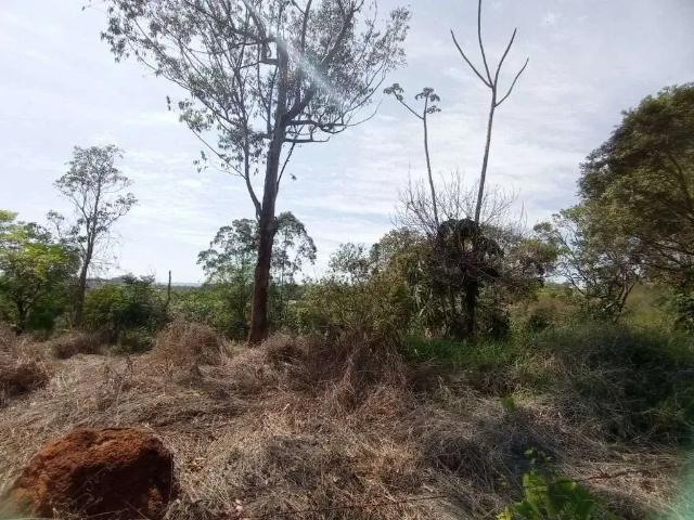 Terreno / Lote para Venda em Jarinu/SP Fazenda Primavera