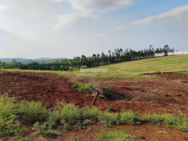 Terreno / Lote para Venda em Jataizinho/PR Centro