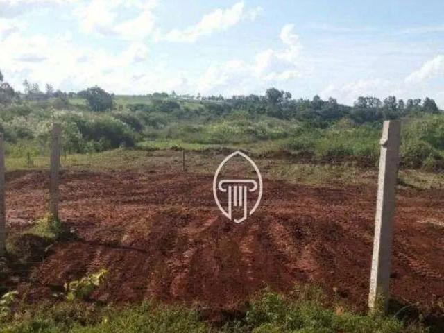 Terreno / Lote para Venda em Jataizinho/PR Centro