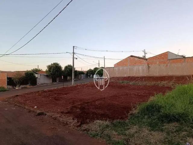 Terreno / Lote para Venda em Jataizinho/PR Vila Lucarewski