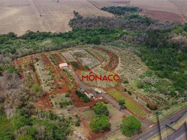 Terreno / Lote para Venda em Jataizinho/PR Zona Rural