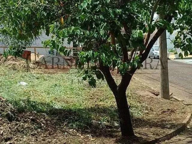 Terreno / Lote para Venda em Jaú/SP Jardim Campos Prado II