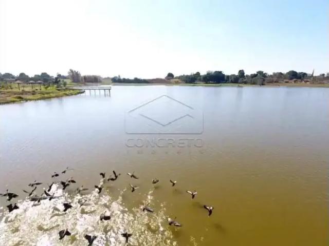 Terreno / Lote para Venda em Jaú/SP Jardim Olaria Potunduva