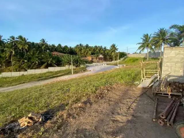 Terreno / Lote para Venda em Jequiá da Praia/AL Centro