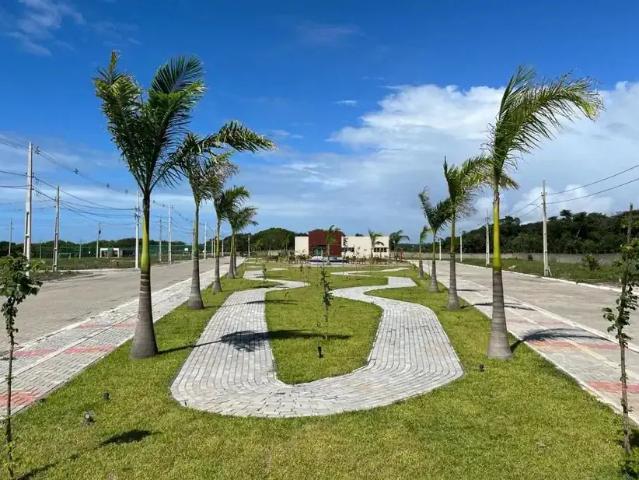Terreno / Lote para Venda em João Pessoa/PB Muçumagro