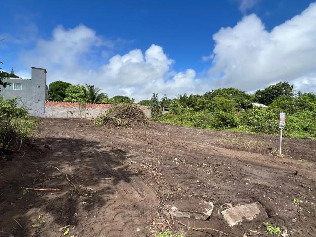 Terreno / Lote para Venda em João Pessoa/PB Barra de Gramame