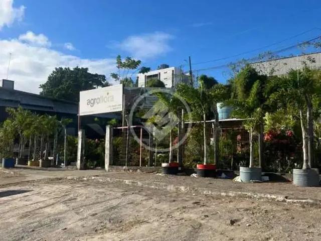 Terreno / Lote para Venda em João Pessoa/PB Tambauzinho