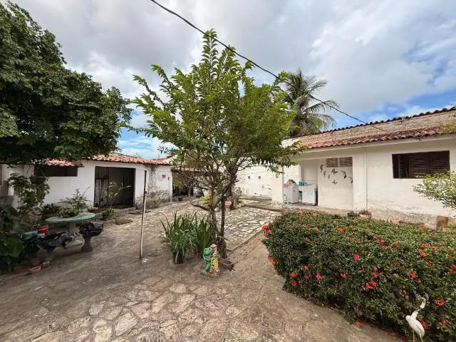 Terreno / Lote para Venda em João Pessoa/PB Torre