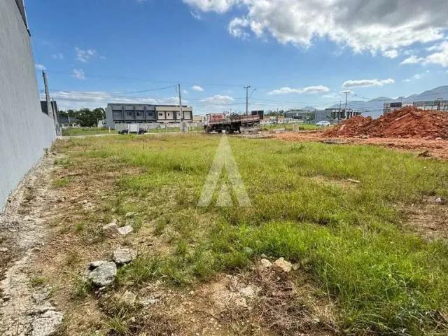 Terreno / Lote para Venda em Joinville/SC Vila Nova