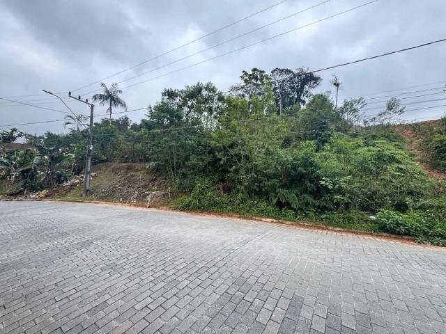 Terreno / Lote para Venda em Joinville/SC Vila Nova
