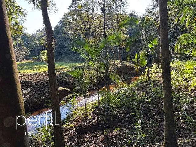 Terreno / Lote para Venda em Joinville/SC Vila Nova