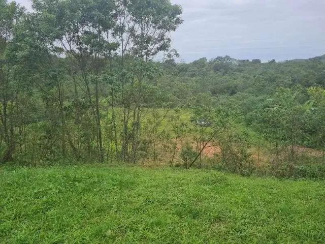 Terreno / Lote para Venda em Joinville/SC Vila Nova