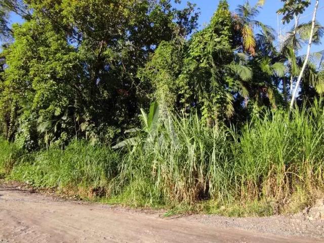 Terreno / Lote para Venda em Joinville/SC Vila Nova
