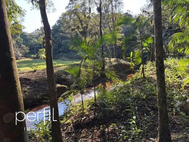 Terreno / Lote para Venda em Joinville/SC Vila Nova