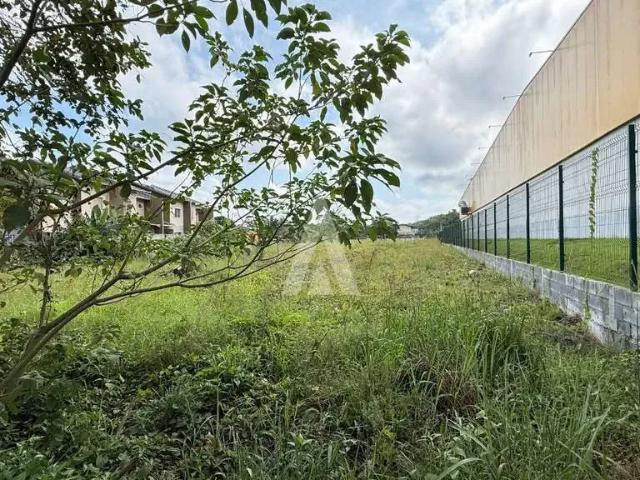 Terreno / Lote para Venda em Joinville/SC Vila Nova