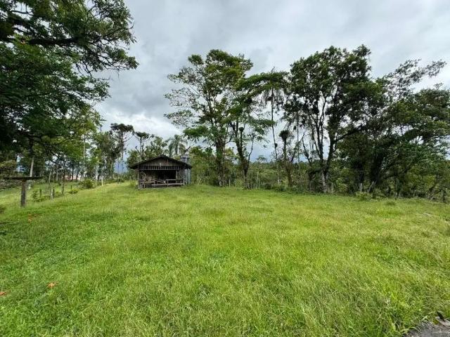 Terreno / Lote para Venda em Joinville/SC Vila Nova
