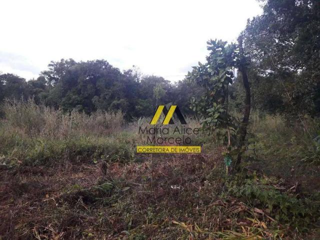Terreno / Lote para Venda em Joinville/SC Vila Nova
