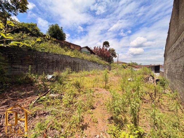 Terreno / Lote para Venda em Joinville/SC Vila Nova