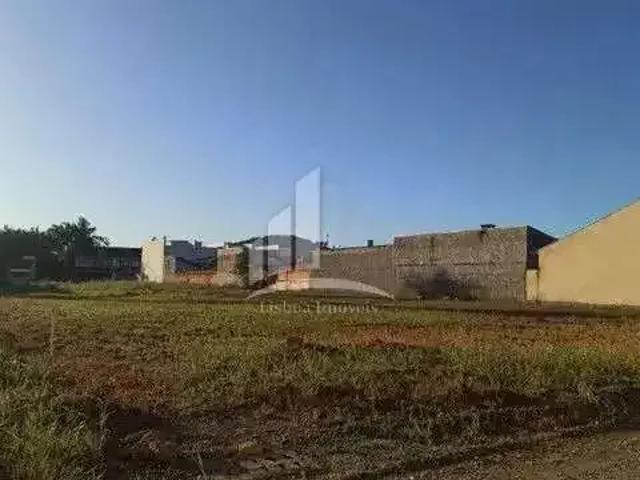 Terreno / Lote para Venda em Joinville/SC Vila Nova