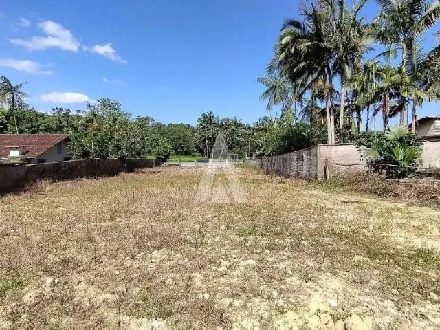 Terreno / Lote para Venda em Joinville/SC Vila Nova