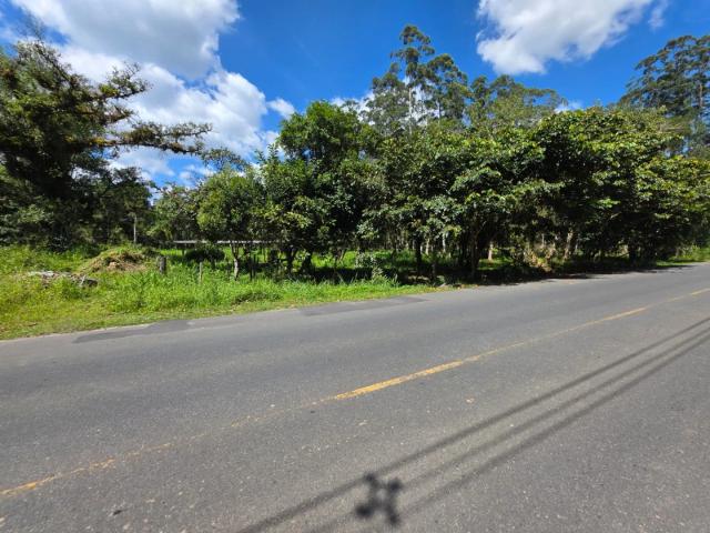 Terreno / Lote para Venda em Joinville/SC Vila Cubatão