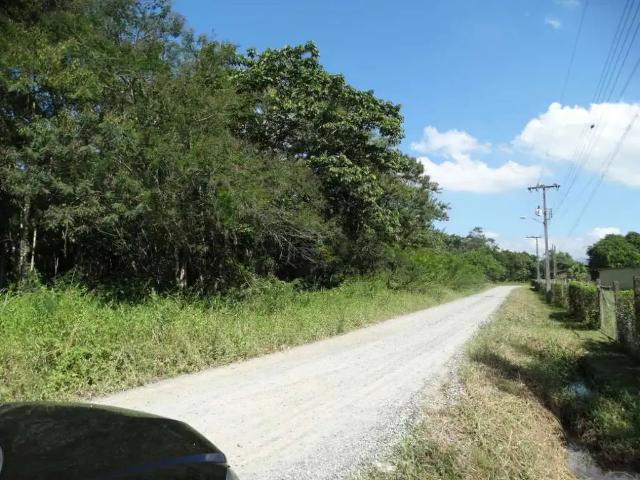 Terreno / Lote para Venda em Joinville/SC Vila Cubatão