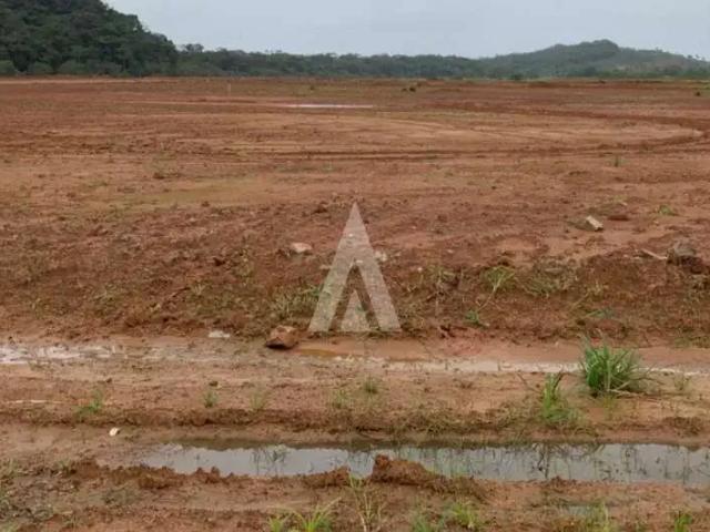 Terreno / Lote para Venda em Joinville/SC Zona Industrial Norte