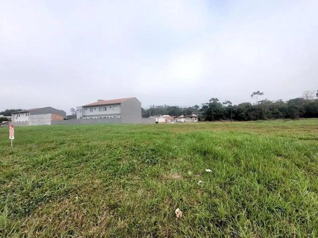 Terreno / Lote para Venda em Joinville/SC Zona Industrial Norte