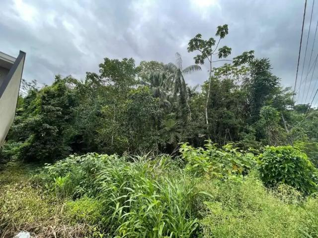 Terreno / Lote para Venda em Joinville/SC América