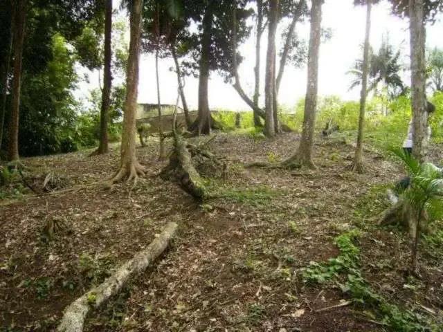 Terreno / Lote para Venda em Joinville/SC América