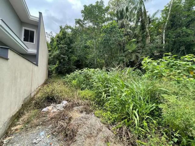 Terreno / Lote para Venda em Joinville/SC América