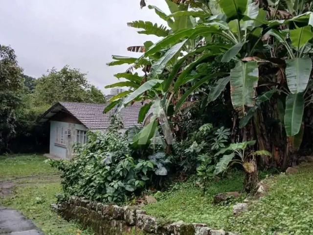 Terreno / Lote para Venda em Joinville/SC América